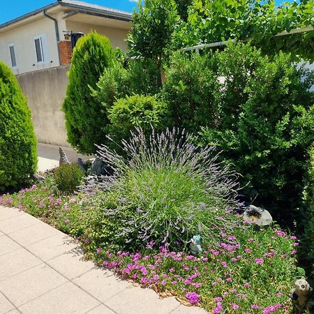 Apartment Nina Novi Vinodolski Exterior photo